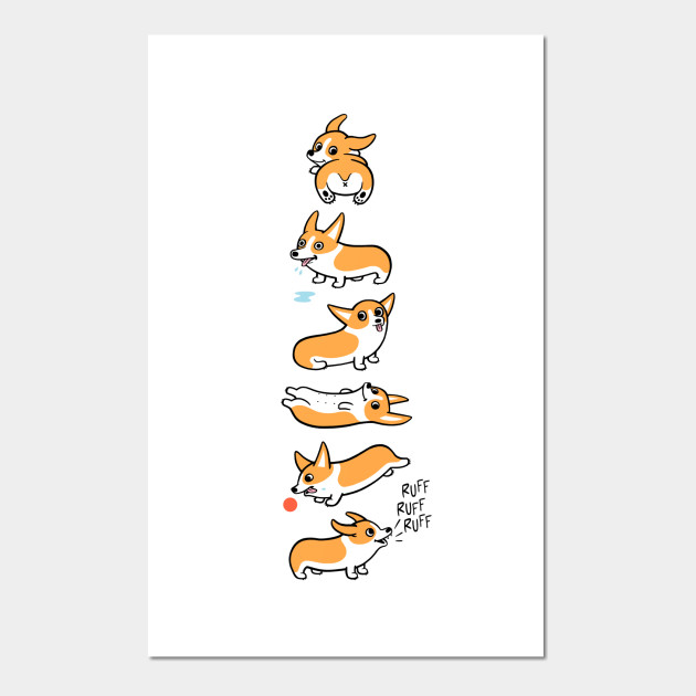 Cutie Corgis